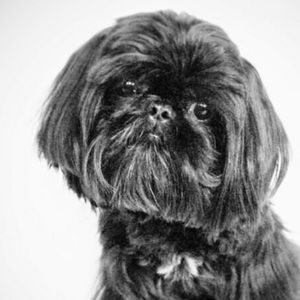 Meet your Posher, Haydee